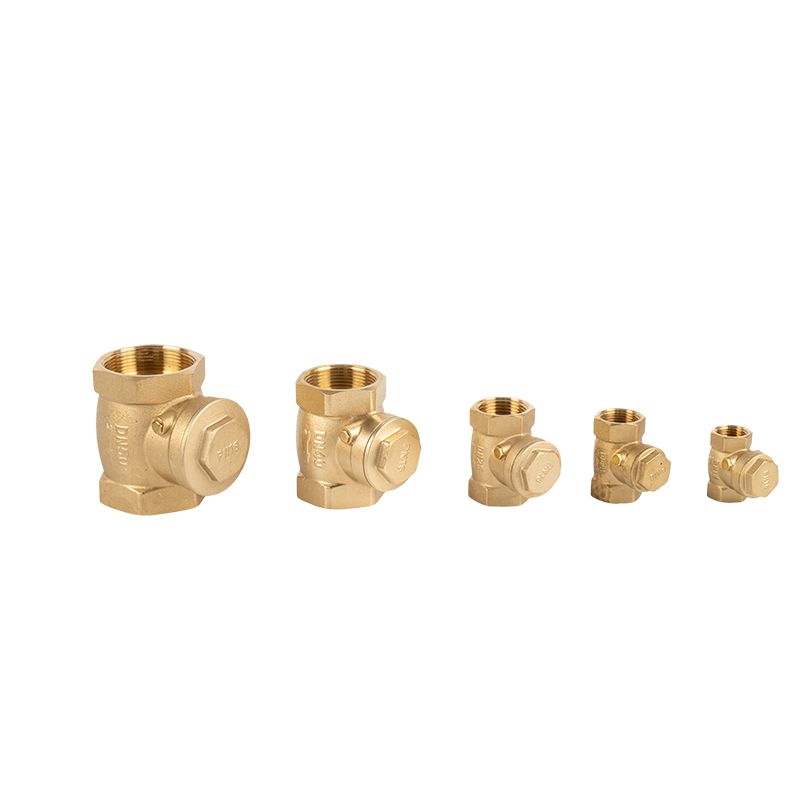 Brass Check Valve